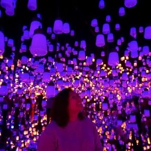 Meet your Posher, Sandy